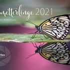 Schmetterlinge Kalender 2021 - Titelblatt
