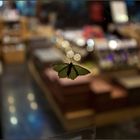 Schmetterlings SchaufensterBummel