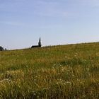 Schmetterlingsbiotop Fürstenau an der böhmischen Grenze im Osterzgenbirge