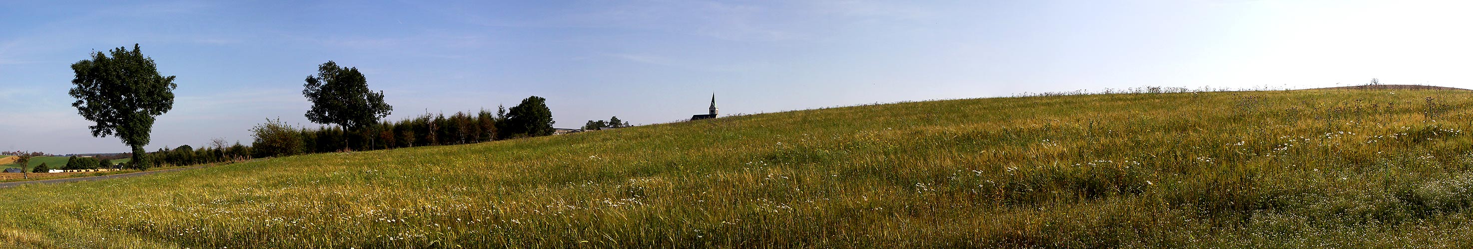 Schmetterlingsbiotop Fürstenau an der böhmischen Grenze im Osterzgenbirge