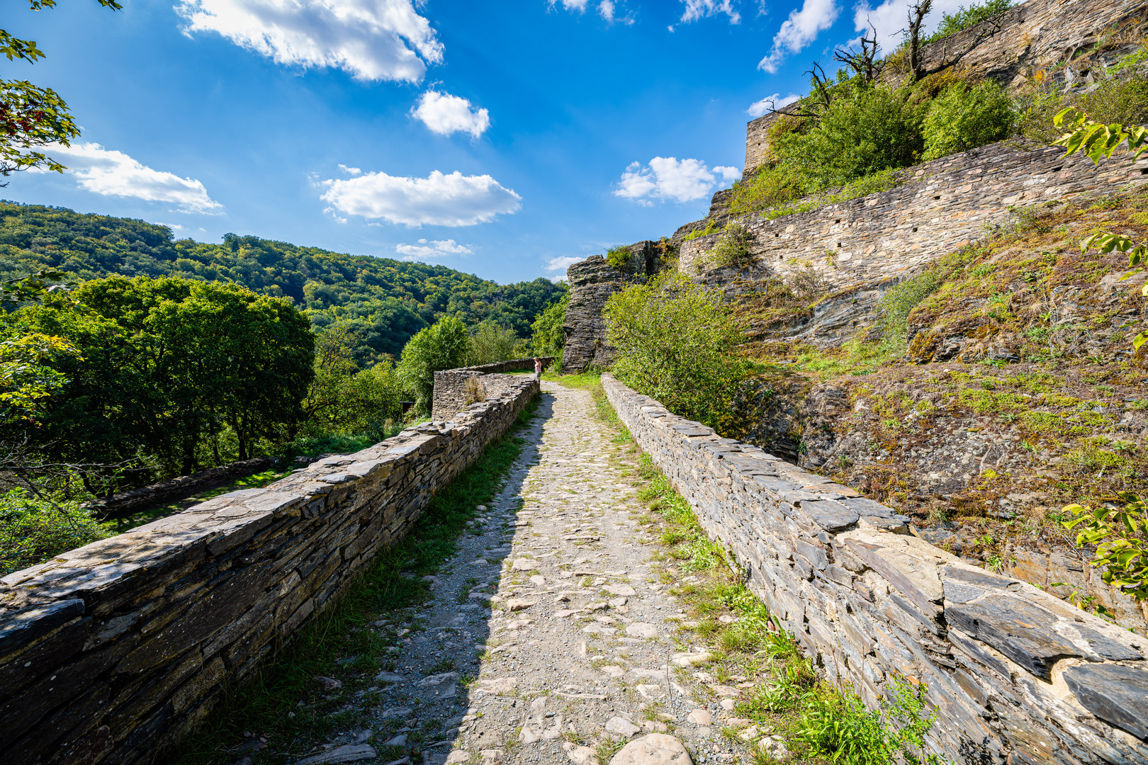 Schmidtburg-Unterburg 43