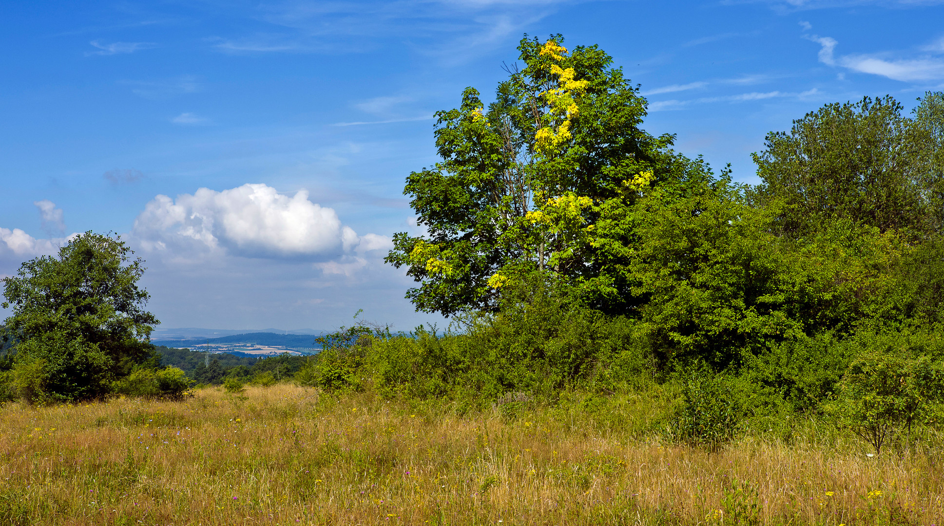 Schmidtenhöhe, Koblenz