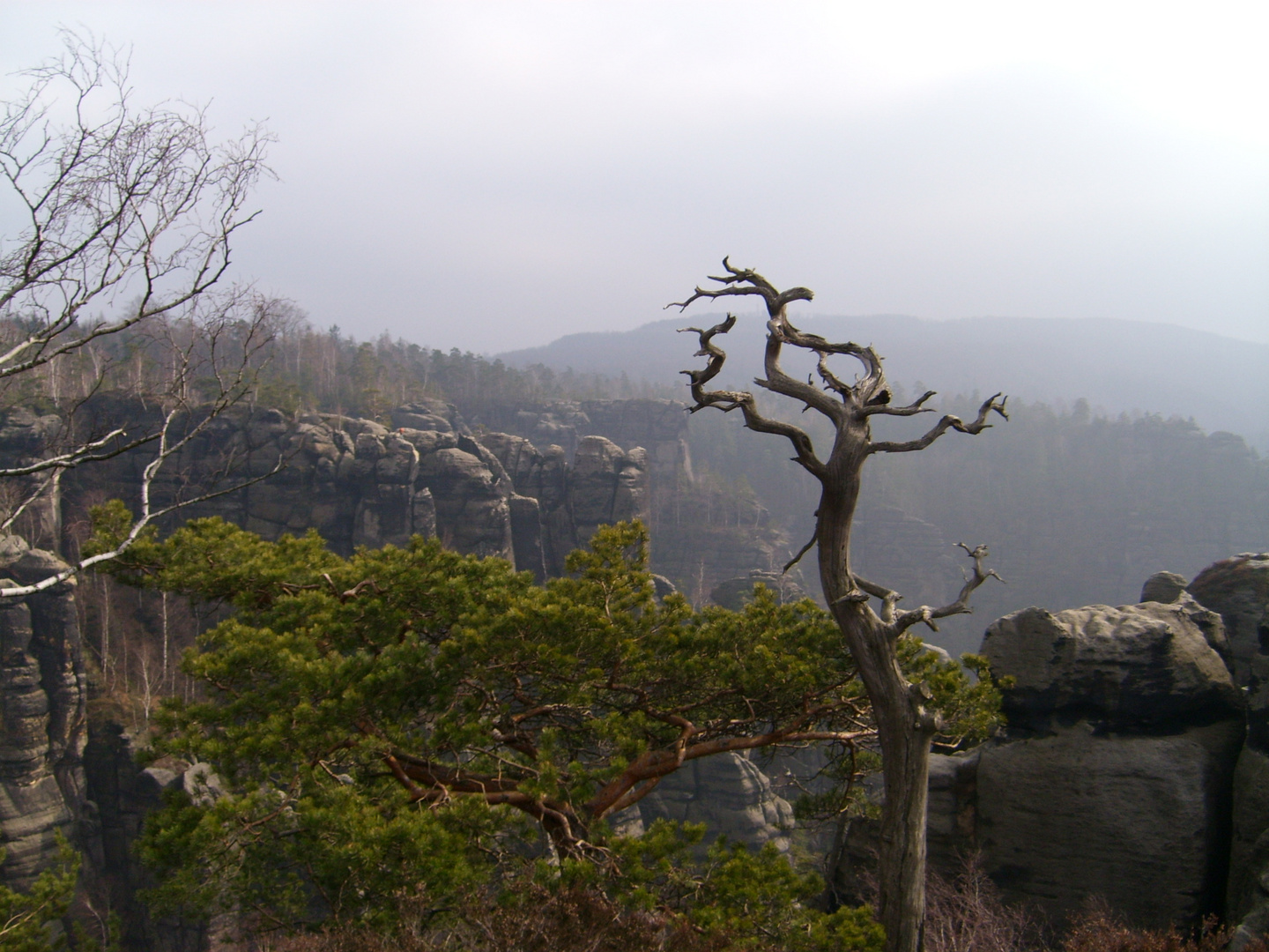 Schmilkaer Kessel im Elbsandsteingebirge