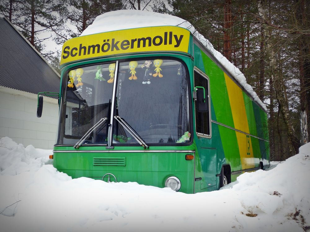 Schmökermolly