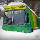 Schmökermolly