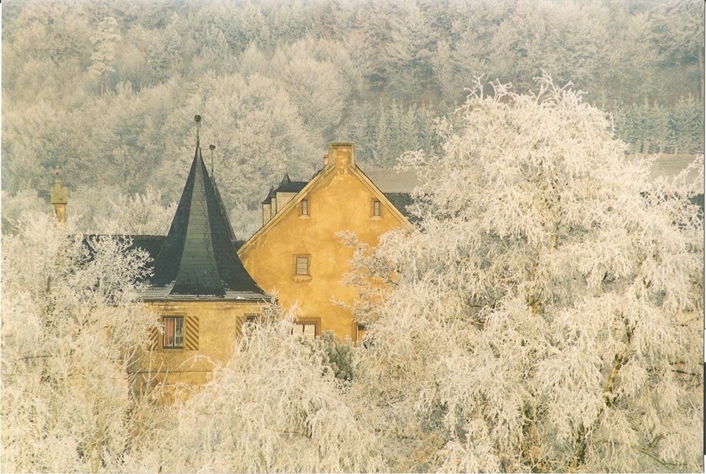 Schmölzer Schloß im Winter