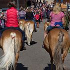 Schmucke Pferdeschwänze - Almabtrieb in Pfelders - Südtirol