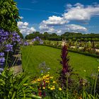 Schmucklilie, Sonnenhut und anderes im Barockgarten Großsedlitz 