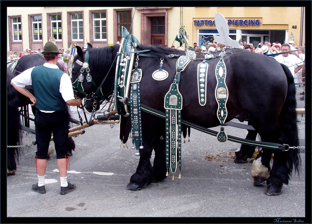 Schmuckstücke...