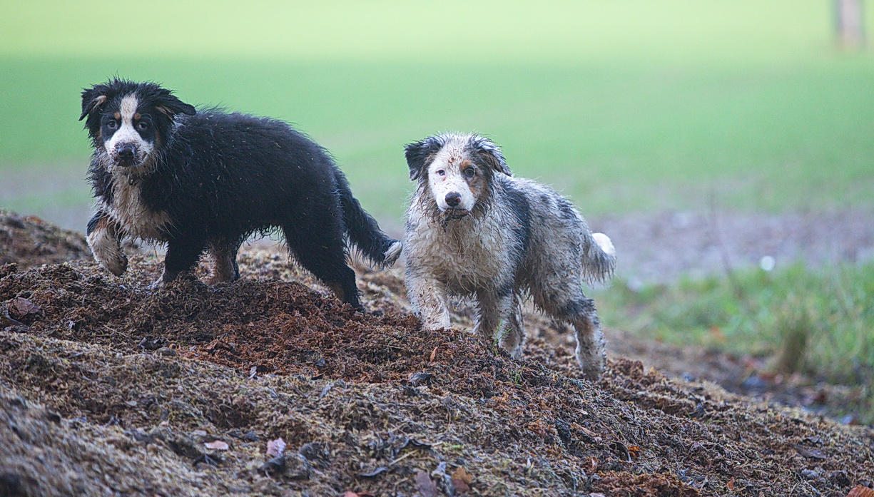 Schmuddelkinder