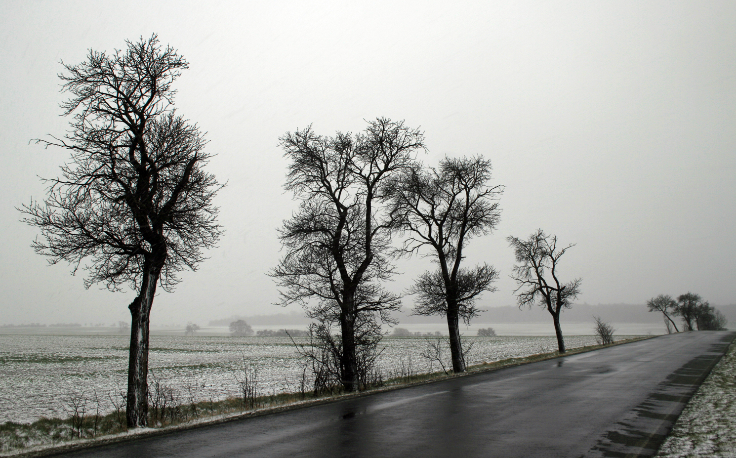 Schmuddelwetter