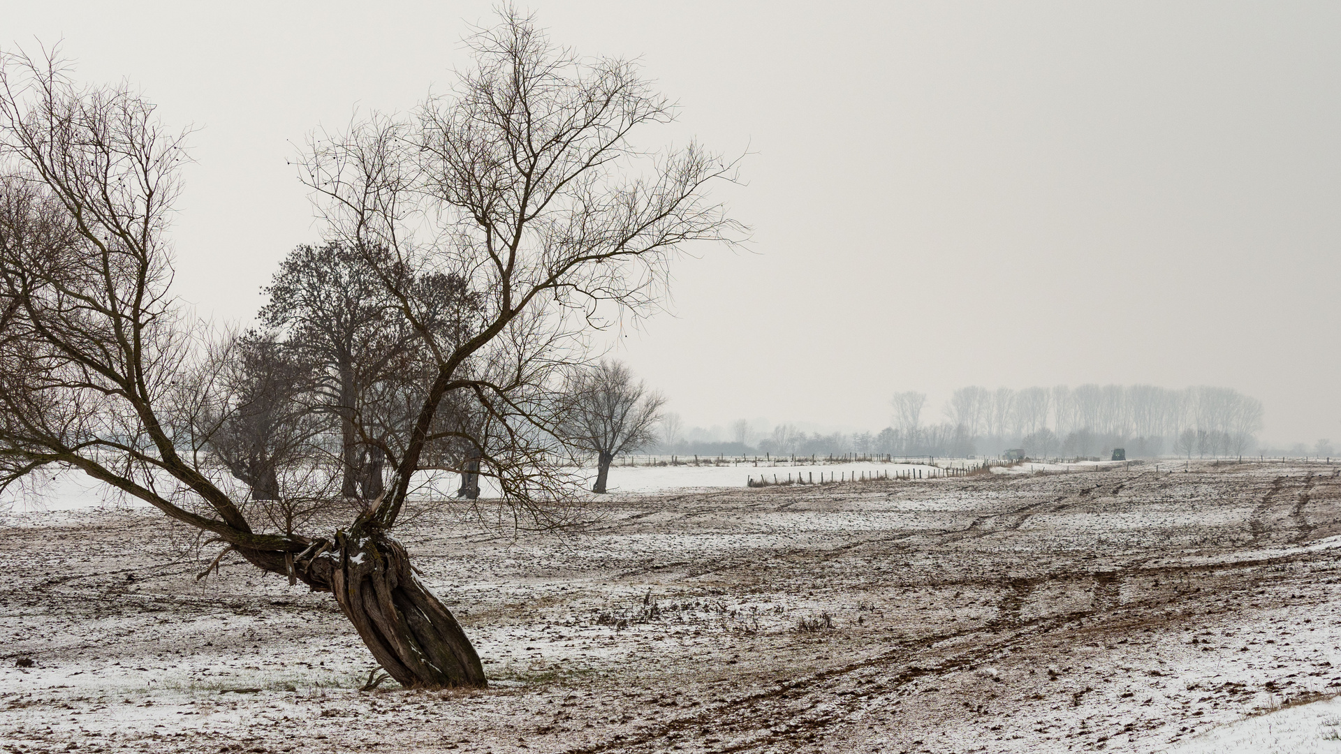 Schmuddelwetter