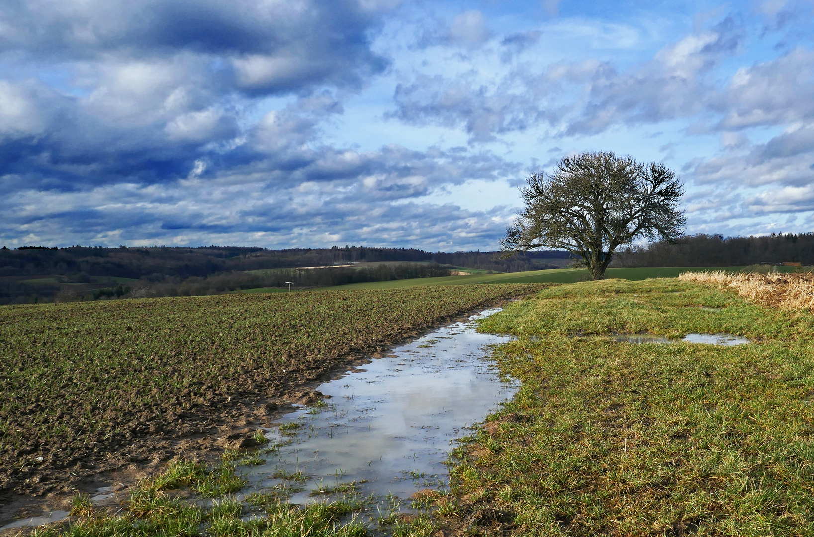 Schmuddelwetter