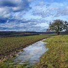 Schmuddelwetter