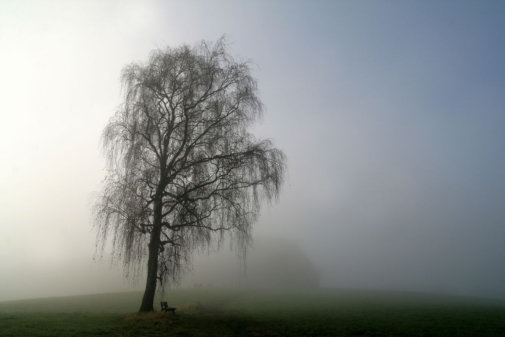 Schmuddelwetter