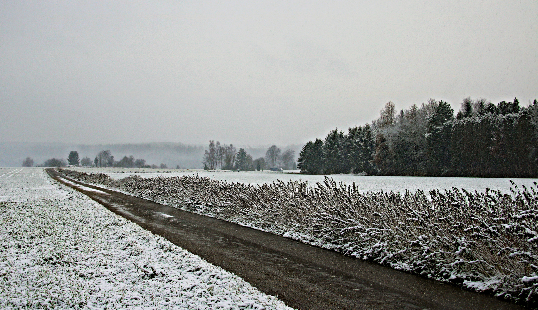 Schmuddelwetter