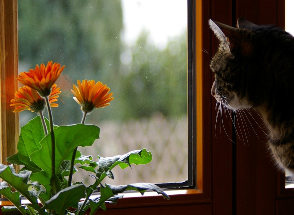 Schmuddelwetter