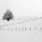 Schmuddelwetter