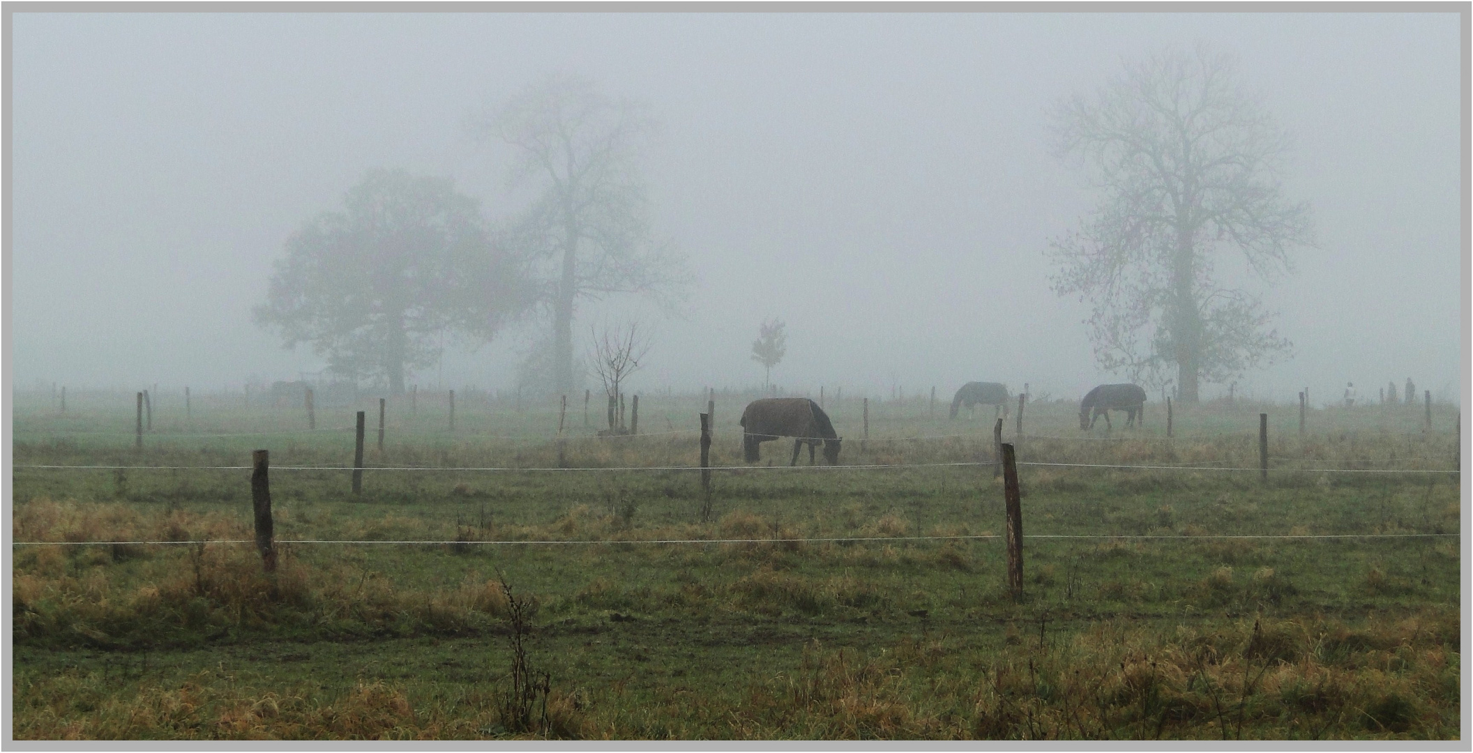 Schmuddelwetter