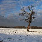 Schmuddelwetter