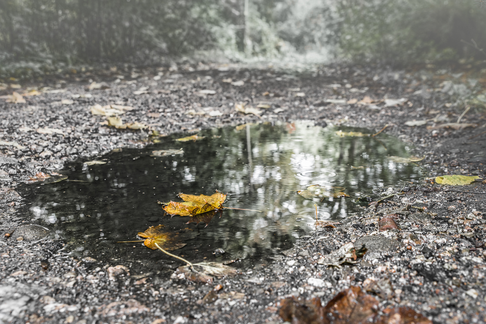 Schmuddelwetter