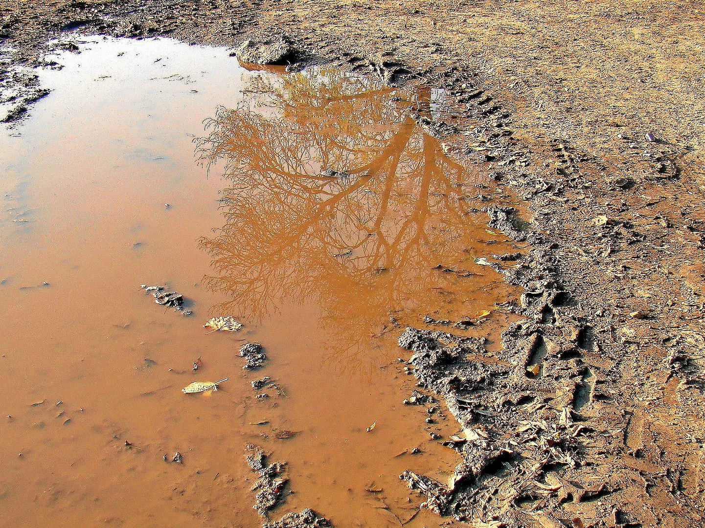 Schmuddelwetter am Dienstag ist Spiegeltag