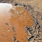 Schmuddelwetter am Dienstag ist Spiegeltag