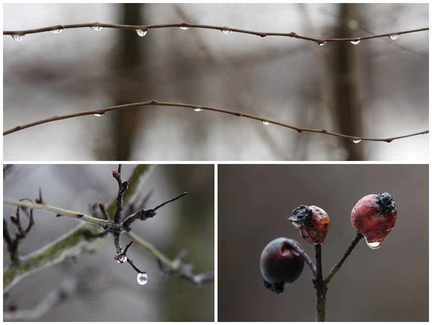 Schmuddelwetter...