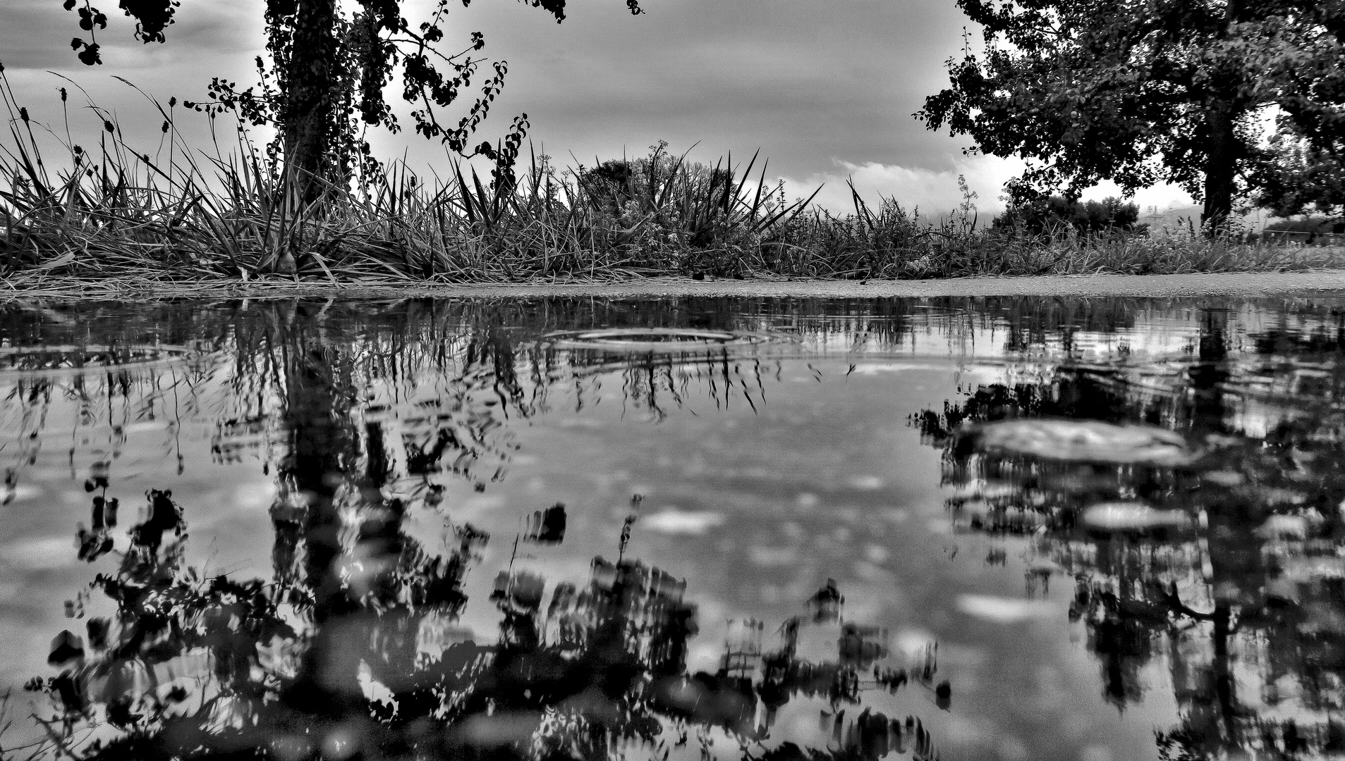 Schmuddelwetter zum Spiegeltag