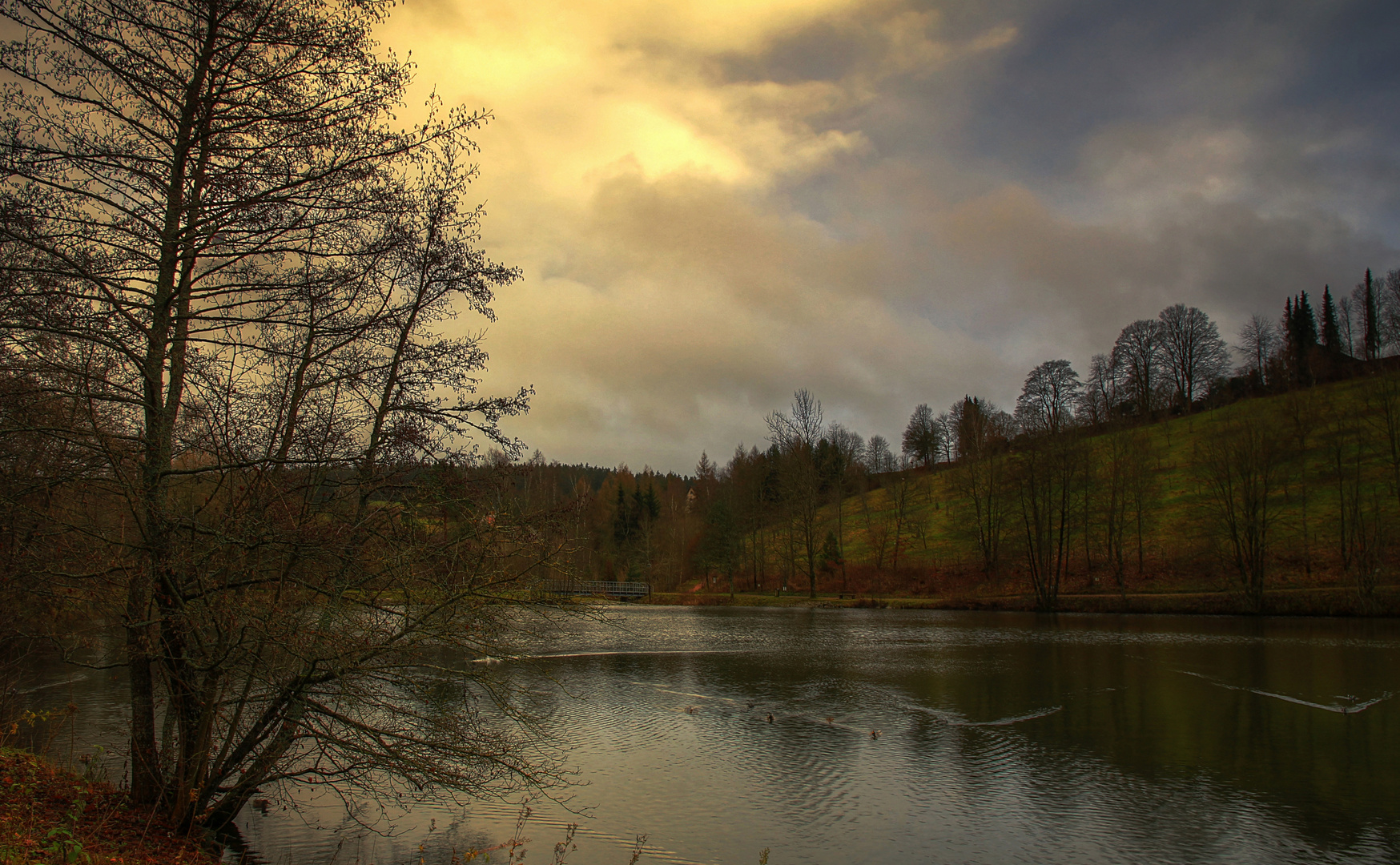 Schmudelwetter und Dezemberlicht