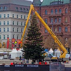 Schmücken der Alstertanne 2019.