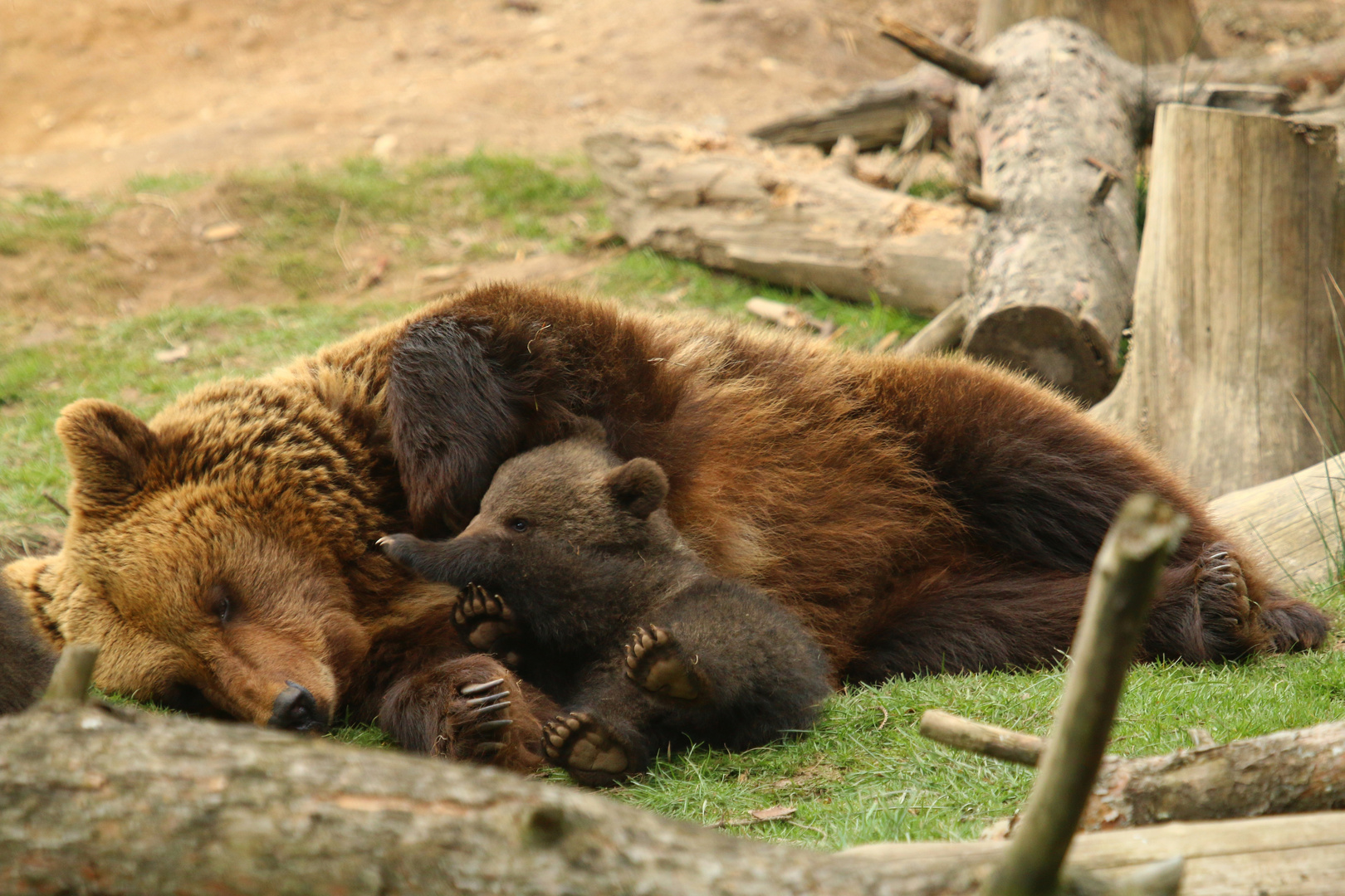 Schmusen mit Mama