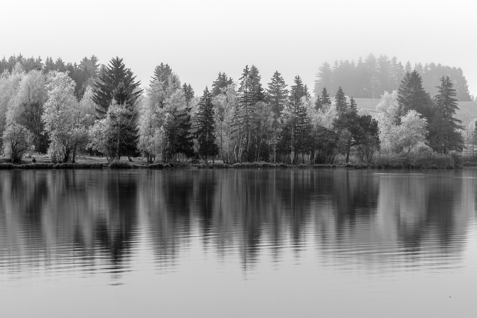 Schmutterweiher