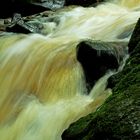 Schmutziges Wasser in der Ravennaschlucht