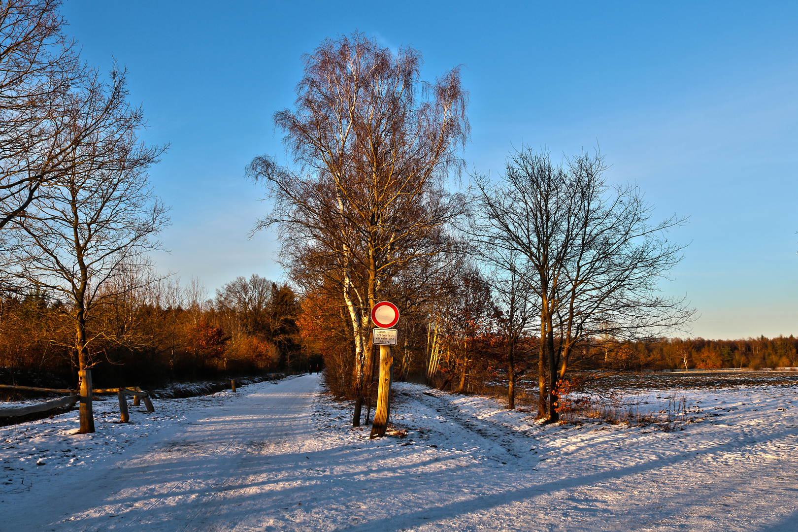 Schnaakenmoor - (4)