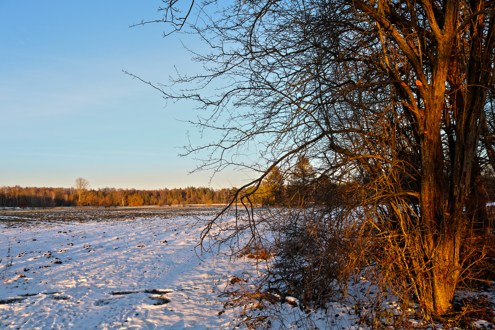 Schnaakenmoor - (5)