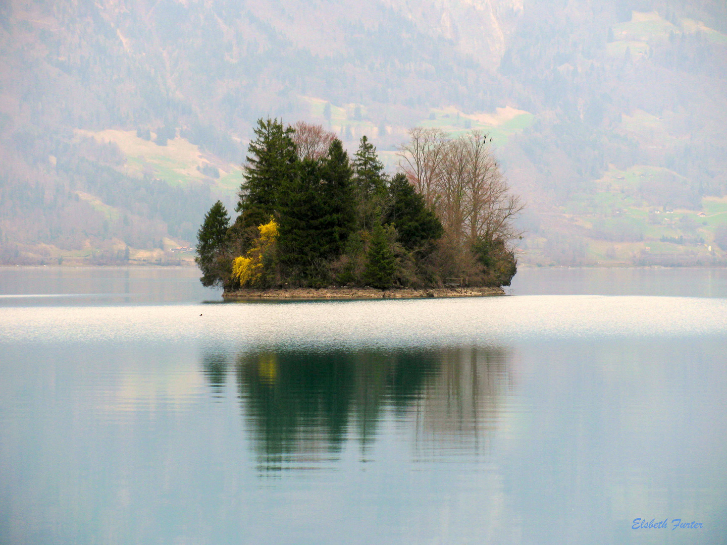 Schnäggeinseli im Brienzersee CH (2)