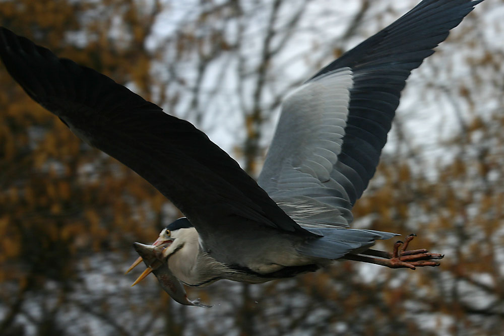 Schnäppchen