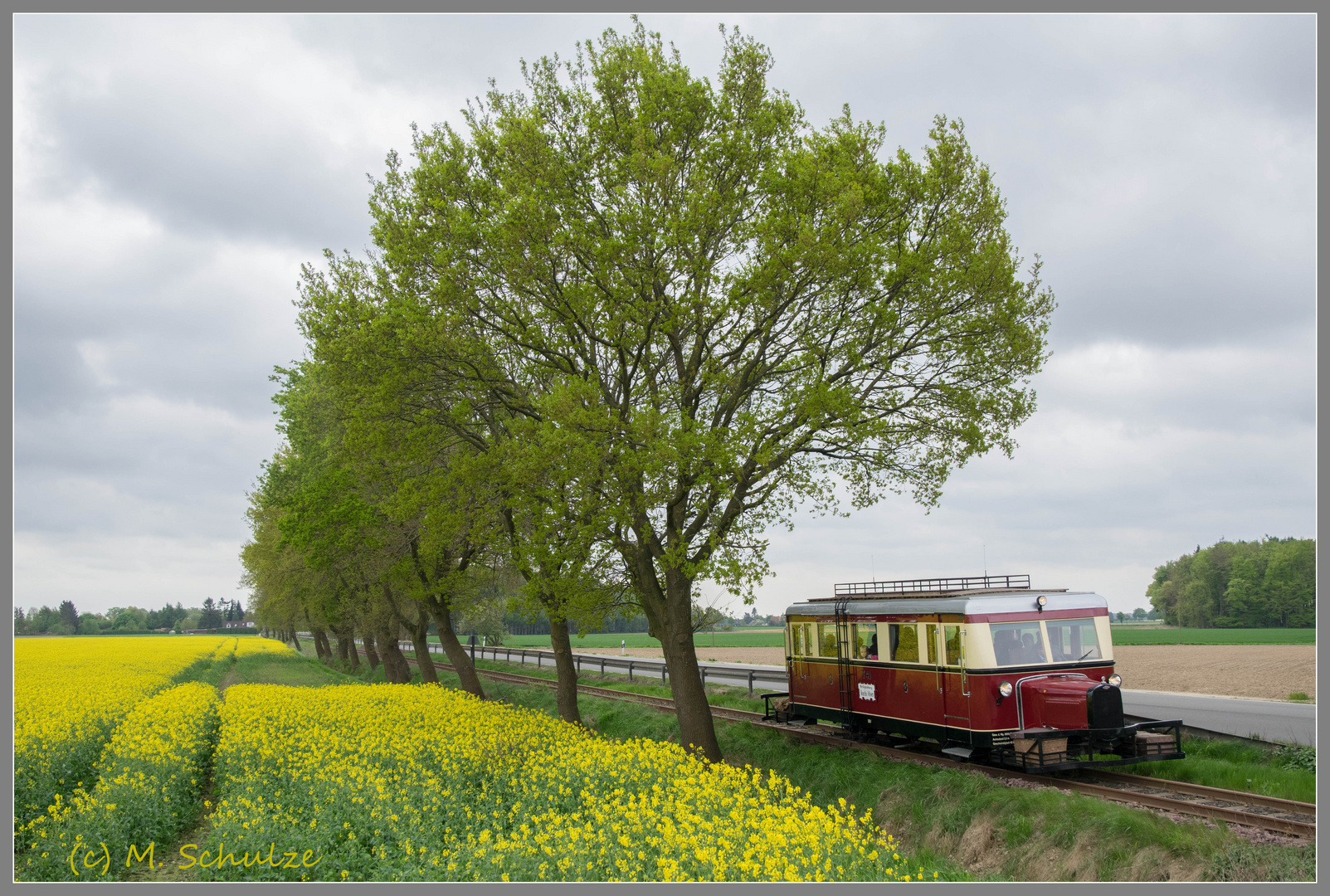 Schnäutzchen im Frühling