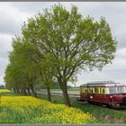 Schnäutzchen im Frühling