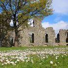 Schnaittach Rothenburg Ruine Frühling