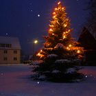 Schnaittach Weihnachtsbaum Bürgerweiher