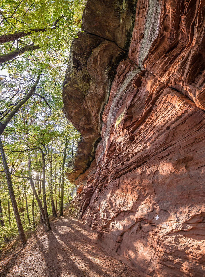 Schnappatmung für den Geologen