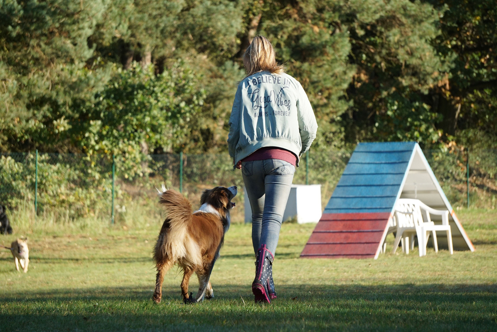 Schnappschüsse auf dem Hundeplatz