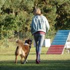 Schnappschüsse auf dem Hundeplatz