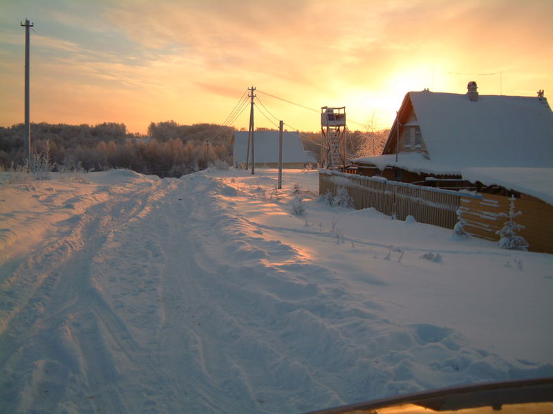 schnappschus bei minus 31 Grad...