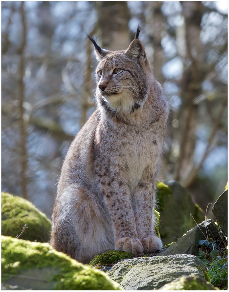 Schnappschuss ( Alte Fasanerie )