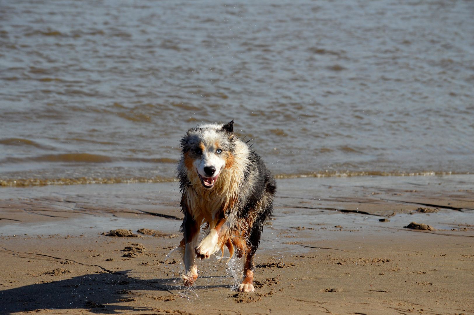 Schnappschuss am Strand