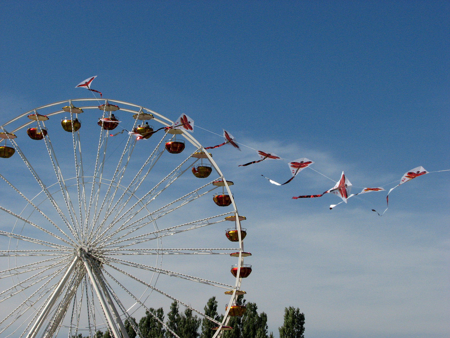 Schnappschuss auf dem Markt in Havelberg