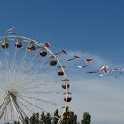 Schnappschuss auf dem Markt in Havelberg